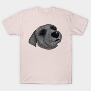 Dog Sketch T-Shirt - The Harry's - Maya T-Shirt